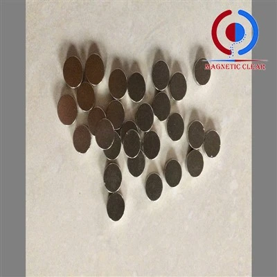 2 X 1 neodymmagnet