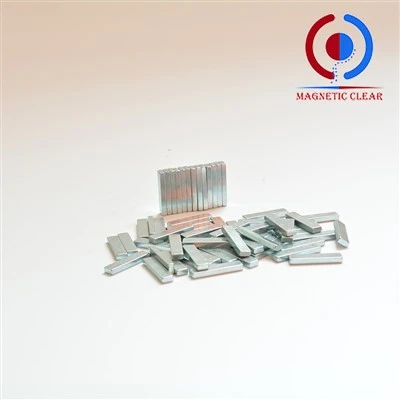 Alnico 2 magneter för pickuper