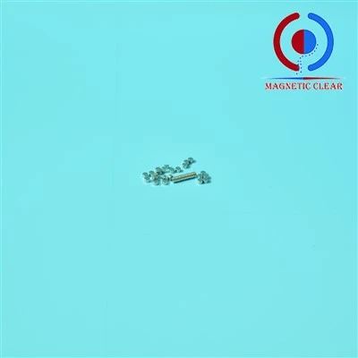 Neodymium skivmagneter 8mm X 1mm